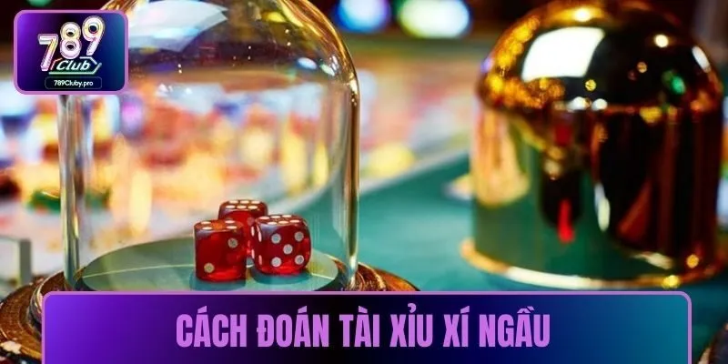 ảnh đại diẹn